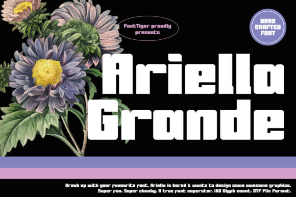 Ariella Grande Font for Bold Web Design