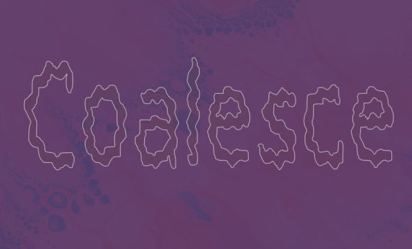 Coalesce: A Stylish Display Font for Your Business Branding